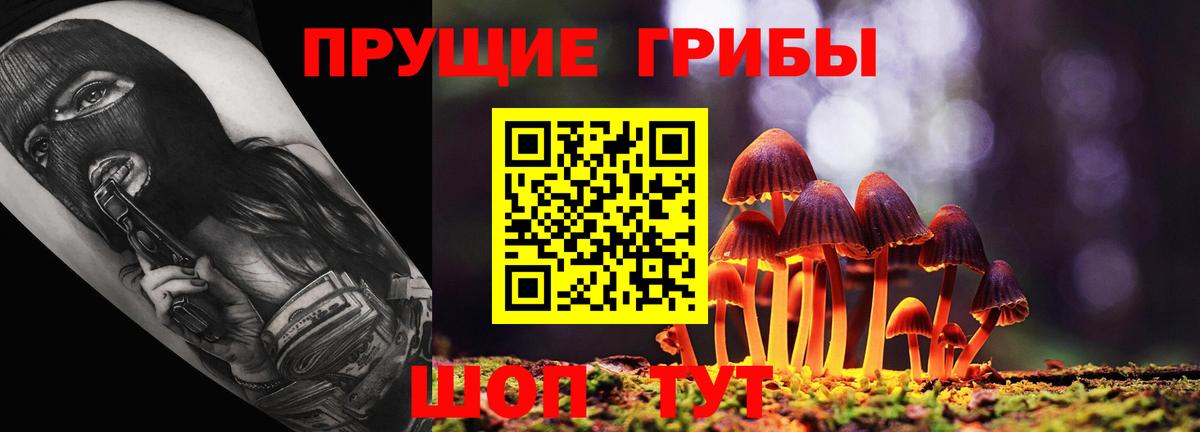 Галлюциногенные грибы GOLDEN TEACHER Нерюнгри